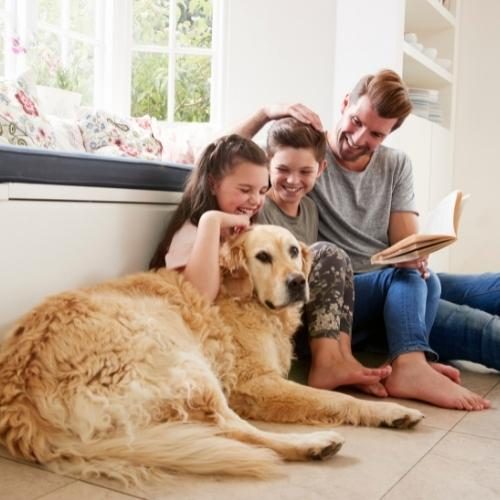 family-with-pets-03